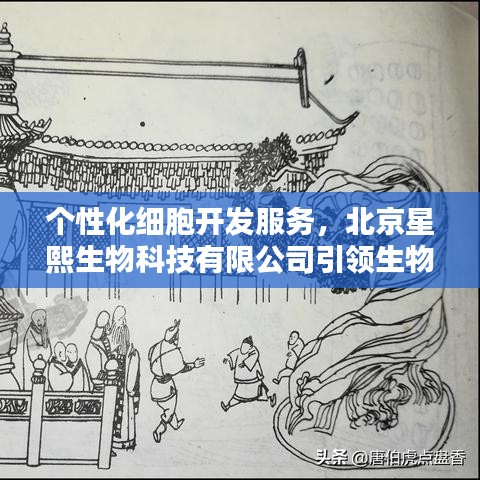 产品与服务 第51页