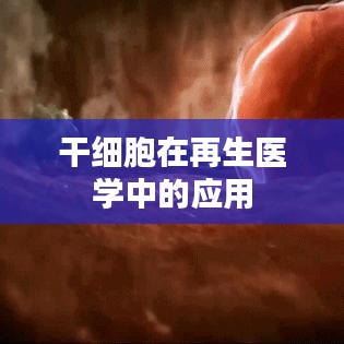 干细胞再生医学应用，重塑生命奇迹