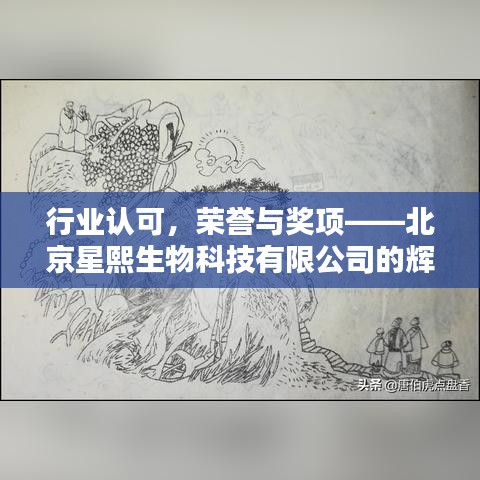 公司概况 第10页