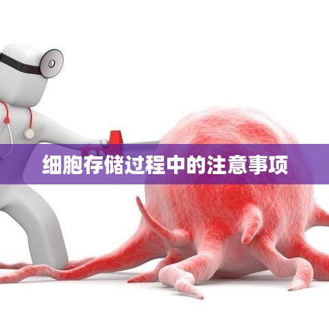 细胞存储过程注意事项详解