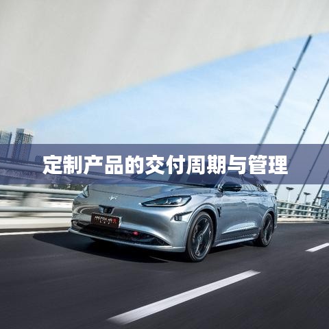 定制产品交付周期与管理，高效流程解析