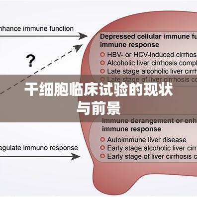 干细胞临床试验现状及未来展望