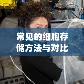 细胞存储方法与对比解析
