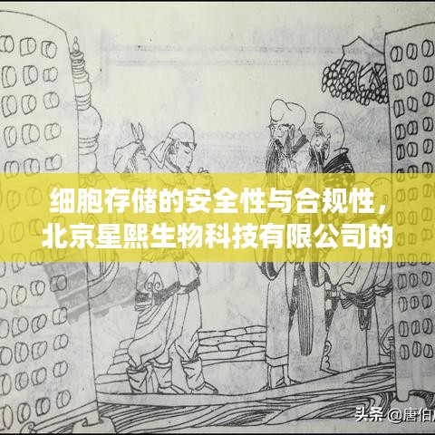 北京星熙细胞存储安全与合规性专业解读