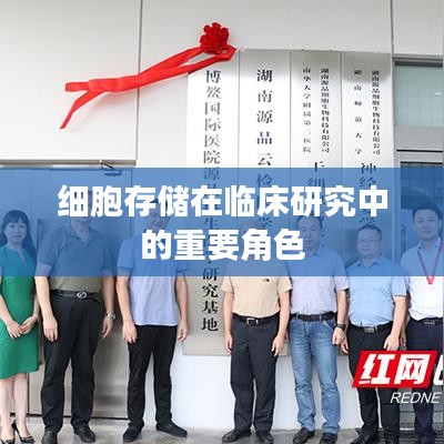 细胞存储助力临床研究，关键角色揭秘
