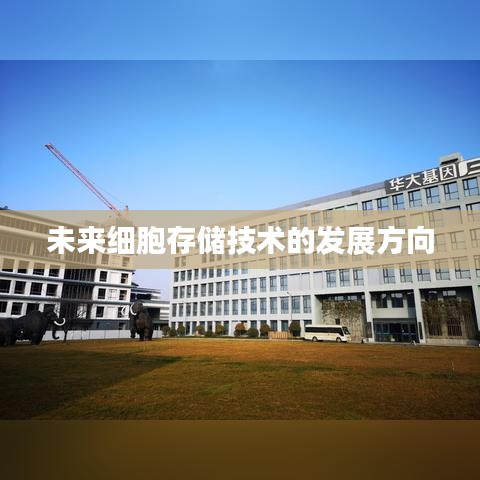 未来细胞存储技术发展趋势与展望