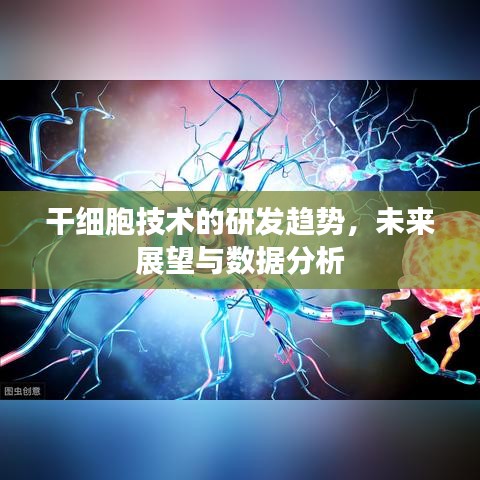 干细胞技术未来展望，研发趋势与数据分析揭秘