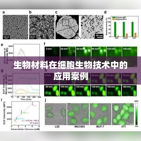 生物材料在细胞生物技术中的应用案例
