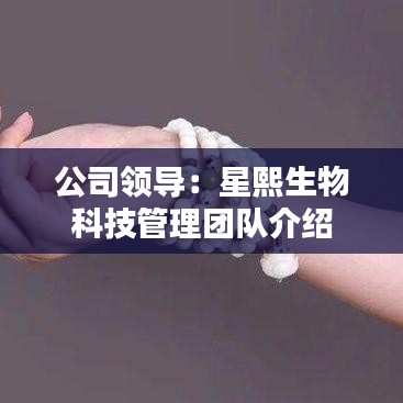 公司概况 第9页