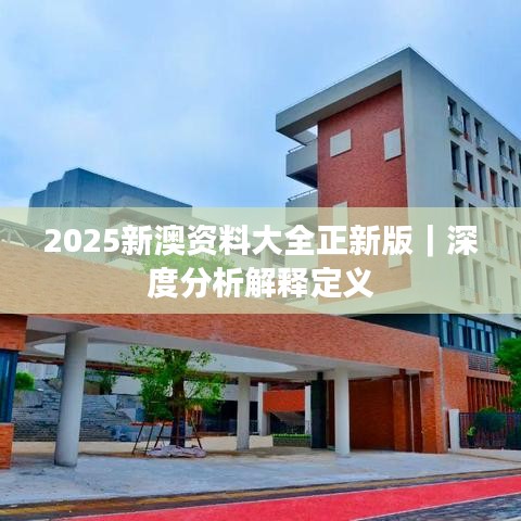2025新澳资料大全正新版｜深度分析解释定义