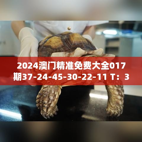 2024澳门精准免费大全017期37-24-45-30-22-11 T：32