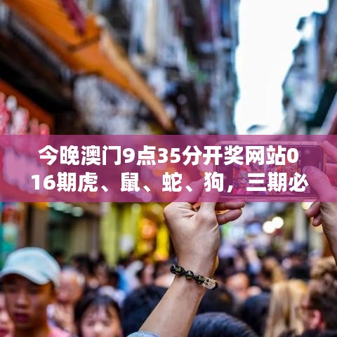 今晚澳门9点35分开奖网站016期虎、鼠、蛇、狗，三期必出一期免费