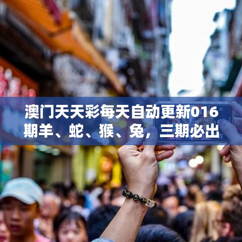 澳门天天彩每天自动更新016期羊、蛇、猴、兔，三期必出一期免费