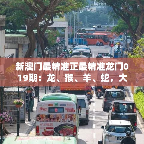 新澳门最精准正最精准龙门019期：龙、猴、羊、蛇，大胆预测