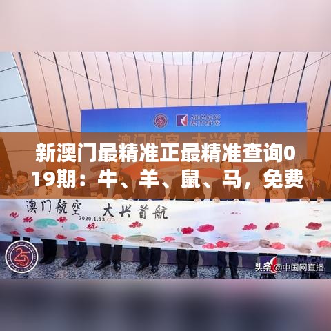 新澳门最精准正最精准查询019期：牛、羊、鼠、马，免费公开
