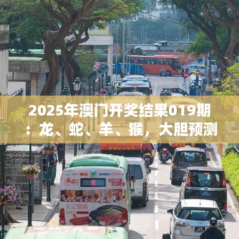 2025年澳门开奖结果019期：龙、蛇、羊、猴，大胆预测