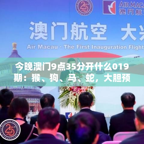 今晚澳门9点35分开什么019期：猴、狗、马、蛇，大胆预测