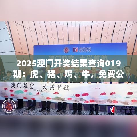2025澳门开奖结果查询019期：虎、猪、鸡、牛，免费公开