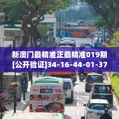 新澳门最精准正最精准019期[公开验证]34-16-44-01-37-28 T:26